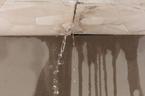 Professional Flood Damage Cleanup technician working in Leesville, OH